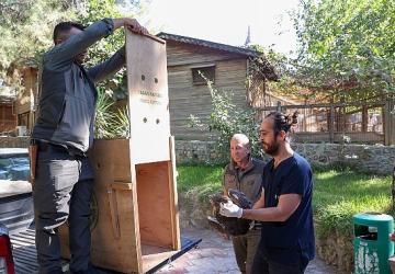 Büyükşehir Doğal Yaşam Parkı'nın tedavi edilen Yılan Kartalı doğaya geri döndü