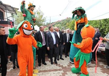 Menderes Mandalina Festivali İle Coşacak