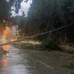 Buca Belediyesi ekiplerinin fırtına ve yağış mesaisi