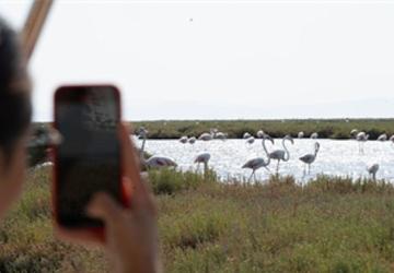Doğa ve lezzet tutkunları bu turları çok sevecek