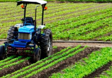 Tarım sigortalarında kapsam genişletildi, devlet desteği artırıldı