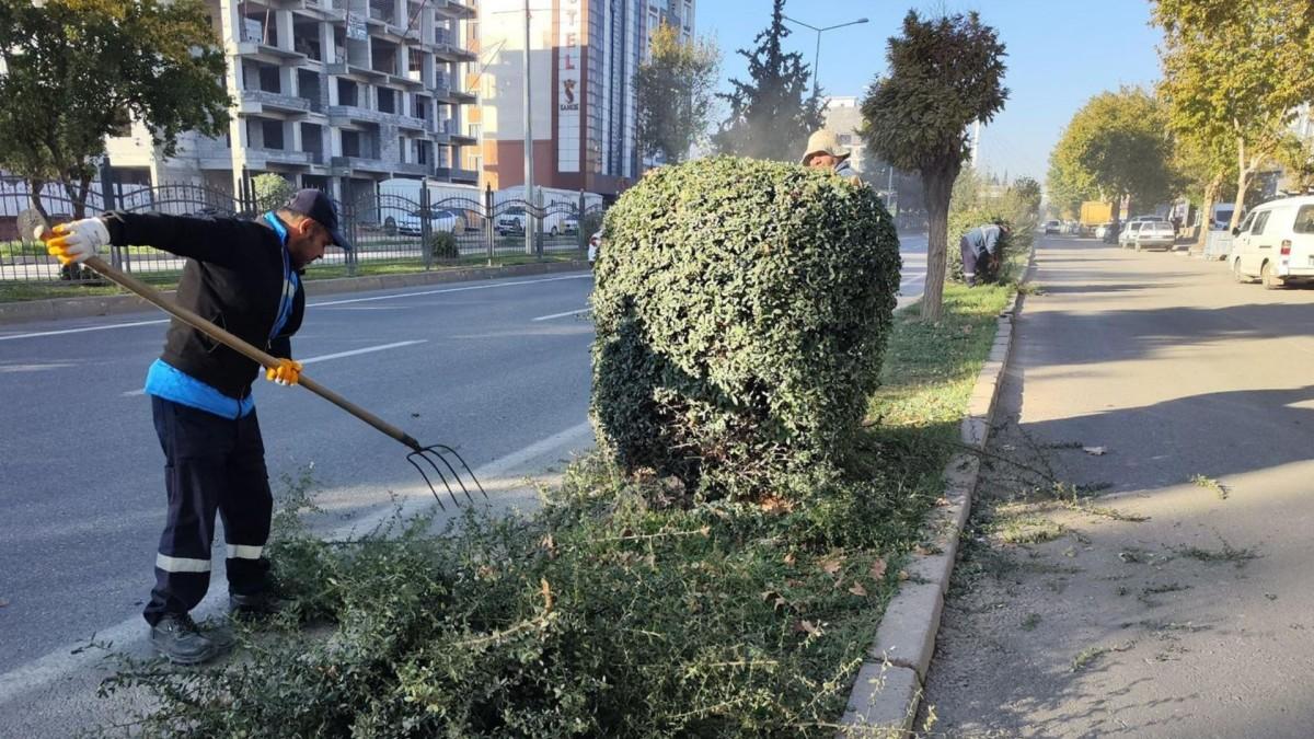 Adıyaman Belediyesi’nden kış öncesi ağaç budama ve bakım çalışması - Videolu Haber