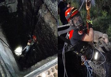 Kuyuya düşen kuzuya itfaiyeden nefes kesen kurtarma