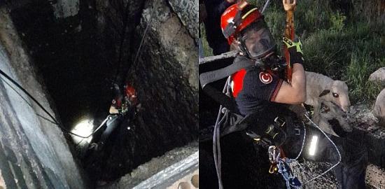 Kuyuya düşen kuzuya itfaiyeden nefes kesen kurtarma