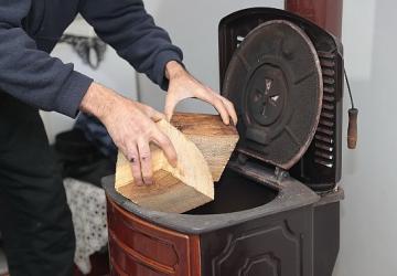 Konak'ta kış dayanışması: Budanan ağaçlar yuvaları ısıtıyor