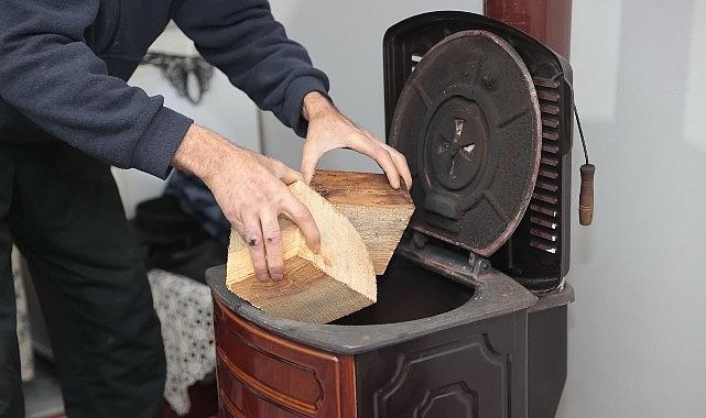 Konak'ta kış dayanışması: Budanan ağaçlar yuvaları ısıtıyor