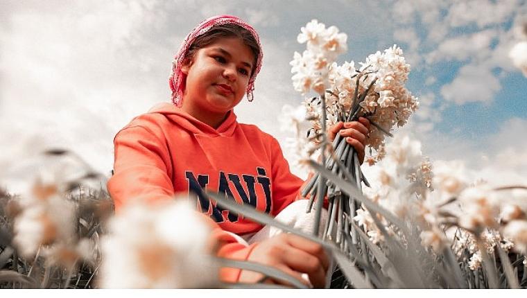 Bayındır'da Festival Heyecanı Başlıyor: Turan Mahallesi Nergis Kokularıyla Şenlenecek