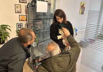 Adıyaman’da kimliği belirsiz kişilerin şiddetine uğrayan kedi ameliyatla kurtarıldı