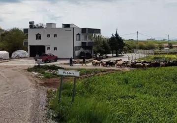 Adıyaman İl Özel İdaresi Çalışmalarını Aralıksız Sürdürüyor - Videolu Haber