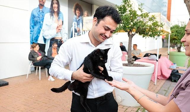 Konak'ta kalpler patili dostlar için attı