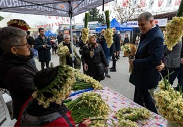 8. Karaburun Nergis Festivali başladı