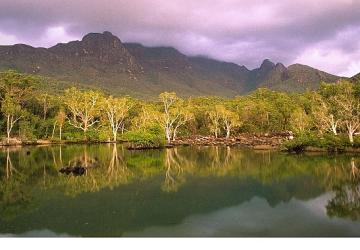 'Avustralya'nın Vahşi Ormanları', 10 Ocak Cumartesi 20.00'de National Geographic WILD Ekranlarında!