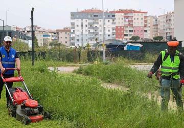 Buca'da bahar temizliği