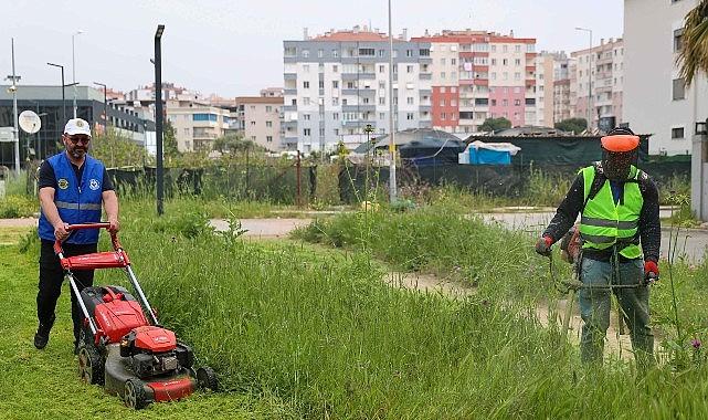 Buca'da bahar temizliği