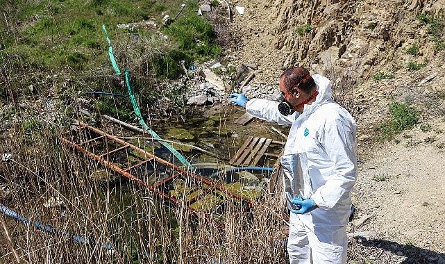 Çankaya'da İlaçlama Çalışmaları Hızlandı