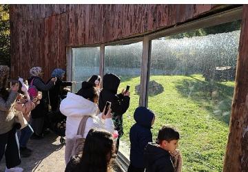 Sömestr Menderesli Çocuklara Güzel