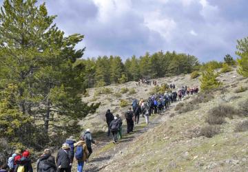 Ankara’da Doğa Yürüyüşü Keyfi Ücretsiz
