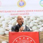 Akkuş Fasulyesinde Hasat Başladı