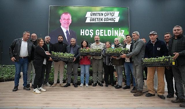 Gömeç Belediyesinden enginar fidanı dağıtım töreni