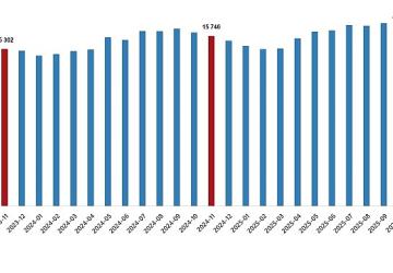 Ücretli Çalışan İstatistikleri, Kasım 2025