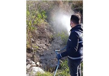 Didim'de Halk Sağlığı İçin Vektörlere Karşı Etkin Mücadele