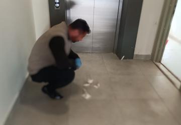 Besni’de yavru kedi parçalanmış halde bulundu