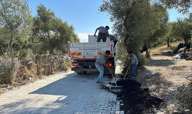 Milas Belediyesi, İlçemiz Mahallelerindeki Hummalı Çalışmalarını Sürdürüyor Milas Belediyesi, İlçemiz Mahallelerindeki Hummalı Çalışmalarını Sürdürüyor