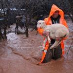 Büyükşehir ekipleri yağmur ve fırtınaya karşı seferber oldu