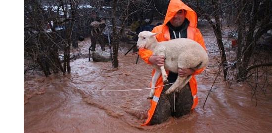 Büyükşehir ekipleri yağmur ve fırtınaya karşı seferber oldu