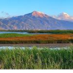 Milleyha Doğa Gözlem Merkezi, 13 Şubat'ta Üç Gün Sürecek "Doğa Buluşması" ile Kapılarını Açıyor.