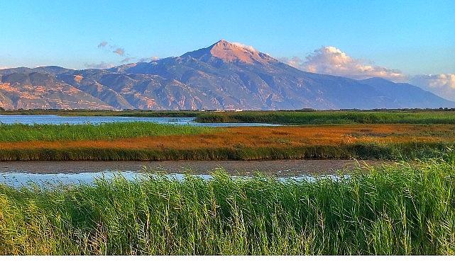 Milleyha Doğa Gözlem Merkezi, 13 Şubat'ta Üç Gün Sürecek "Doğa Buluşması" ile Kapılarını Açıyor.