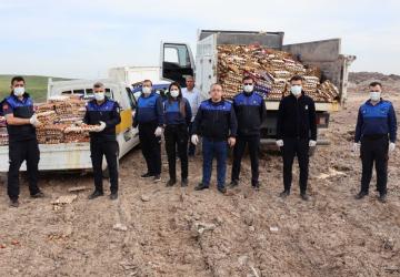 Haliliye’de 5 bin koli yumurtaya el konuldu