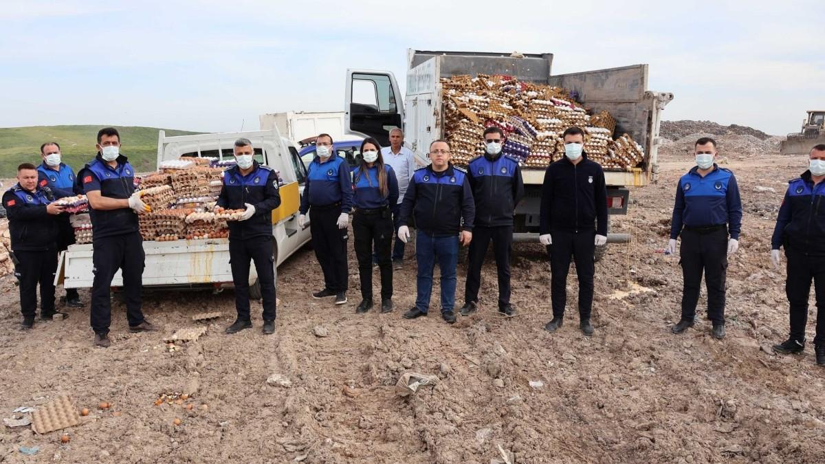 Haliliye’de 5 bin koli yumurtaya el konuldu