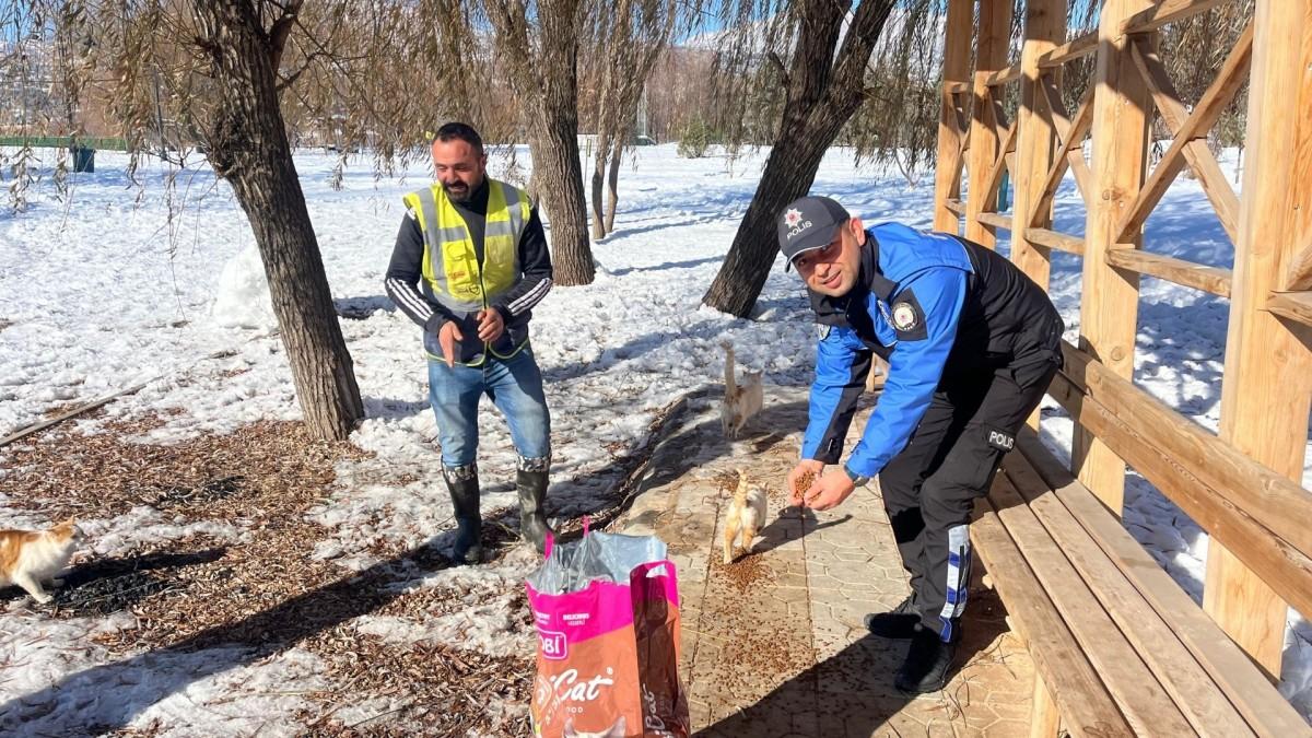 Soğuk havada sokak hayvanlarının yardımına polis koştu