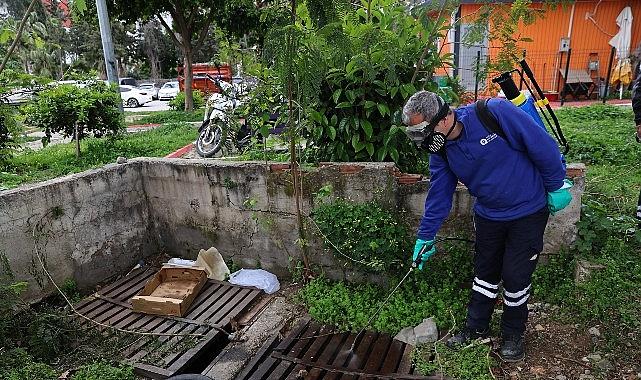 Büyükşehir'den sinek üreme alanlarında yoğun çalışma