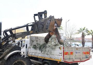Başkan Çerçioğlu'ndan Aydın'ın Yeşil Dokusunu Geleceğe Taşıyan Çalışma