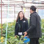 Büyükşehir'den hortum ve fırtınadan zarar gören üreticiye sera naylonu desteği