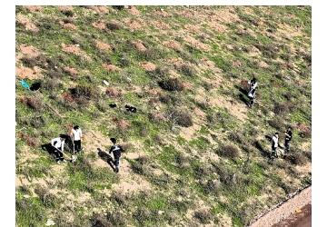Büyükşehir'in dokunuşlarıyla Kocaeli yeşile doyuyor