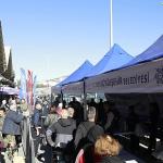 Aydın Büyükşehir Belediyesi Binlerce Kışlık Fideyi Kuşadalılar ile Buluşturdu