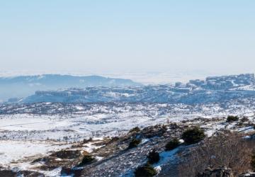 Adıyaman’da karda aç kalan yaban domuzları İndere bolgesine indi - Videolu Haber