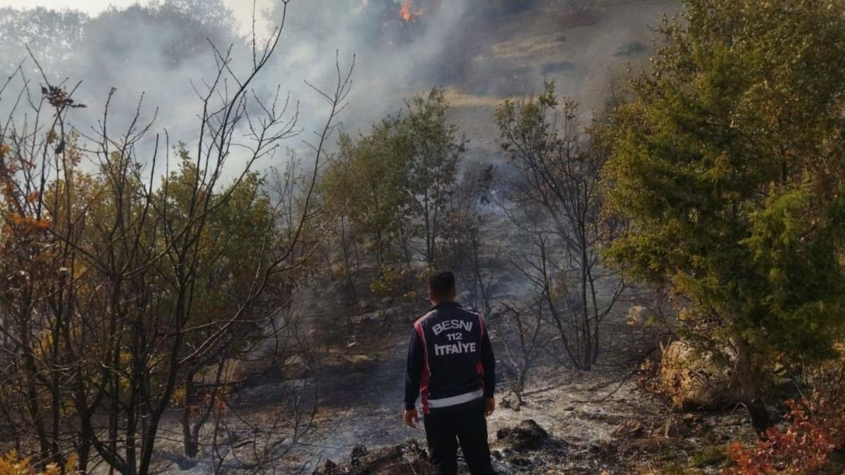 Besni Akpınar Köyü’nde çıkan orman yangını kontrol altına alındı - Videolu Haber