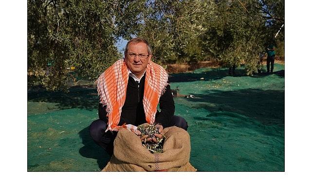 Mesut Ergin: “Dünya Zeytin Ağacı Günü Kutlu Olsun"