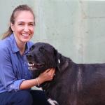 1 yılda 40 bin can dosta şefkat eli uzandı