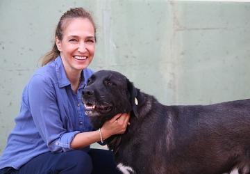 1 yılda 40 bin can dosta şefkat eli uzandı