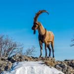 Kar Adıyaman’ı beyaza bürüdü: Kartpostallık manzaralar ortaya çıktı