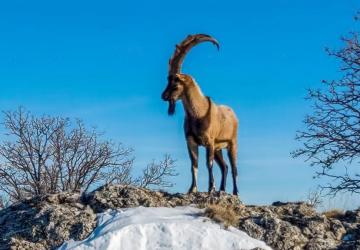 Kar Adıyaman’ı beyaza bürüdü: Kartpostallık manzaralar ortaya çıktı