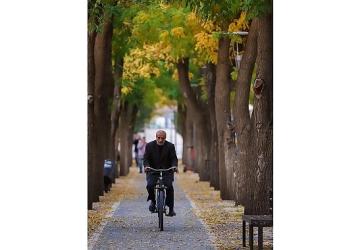 Konya Büyükşehir'in “Sürdürülebilir Ulaşımda Nezaket ve Görgü Kuralları" Yarışmalarının Sonuçları Belli Oldu