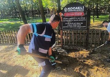 Ormanya'da oyun gruplarına periyodik bakım