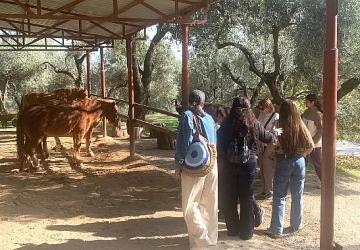 Narlıdere Belediyesi'nden Gönüllülere Teşekkür