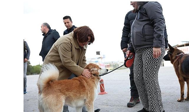 Mavişehir Mahallesi'nde Büyük Dönüşüm Devam Ediyor